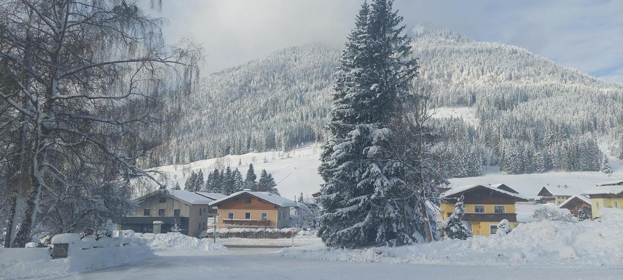 Appartements Haus Bergland Sankt Martin am Tennengebirge Bagian luar foto